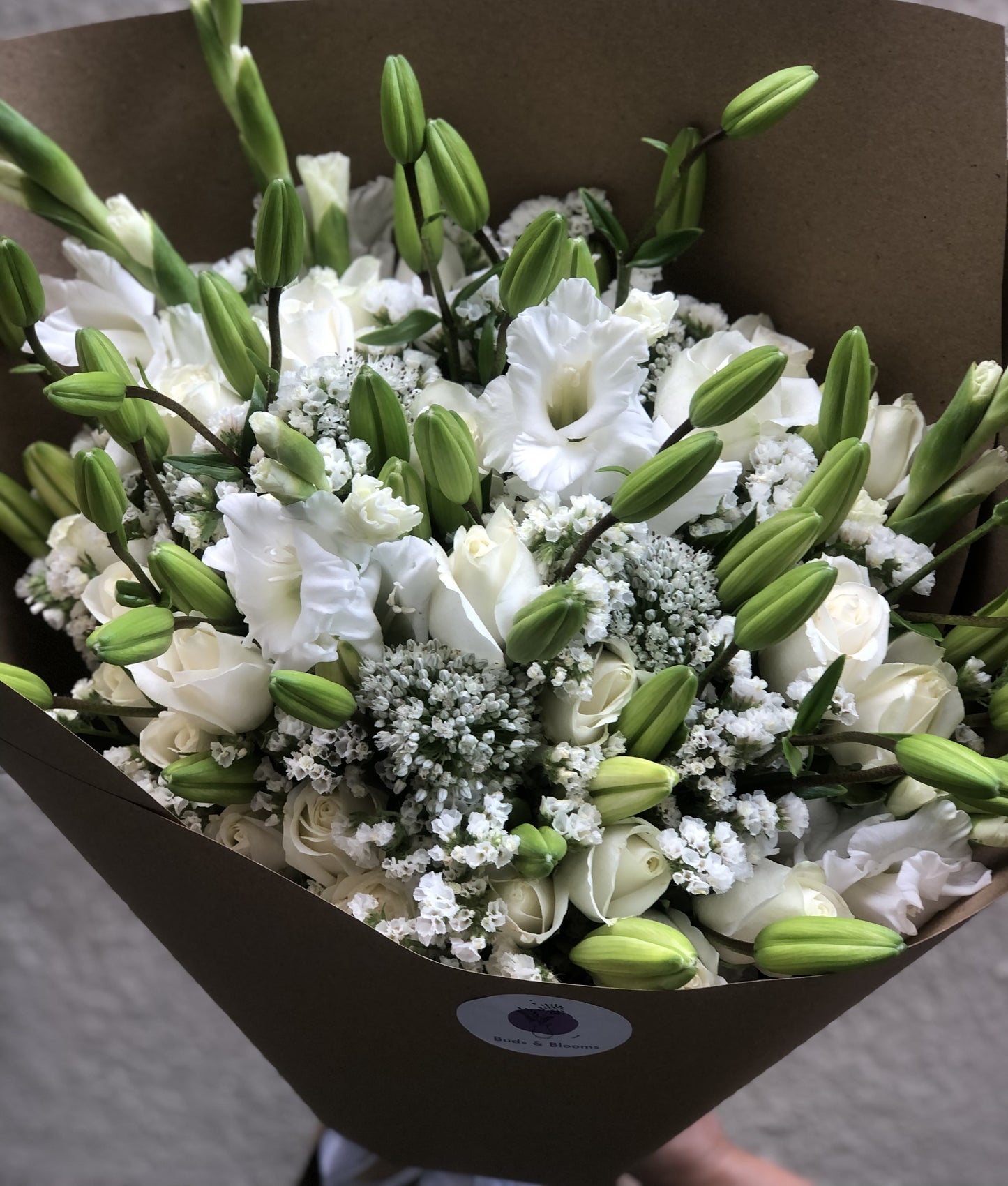 White Wonder Blossoms