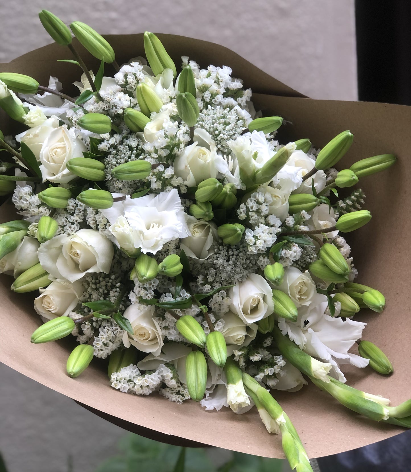 White Wonder Blossoms