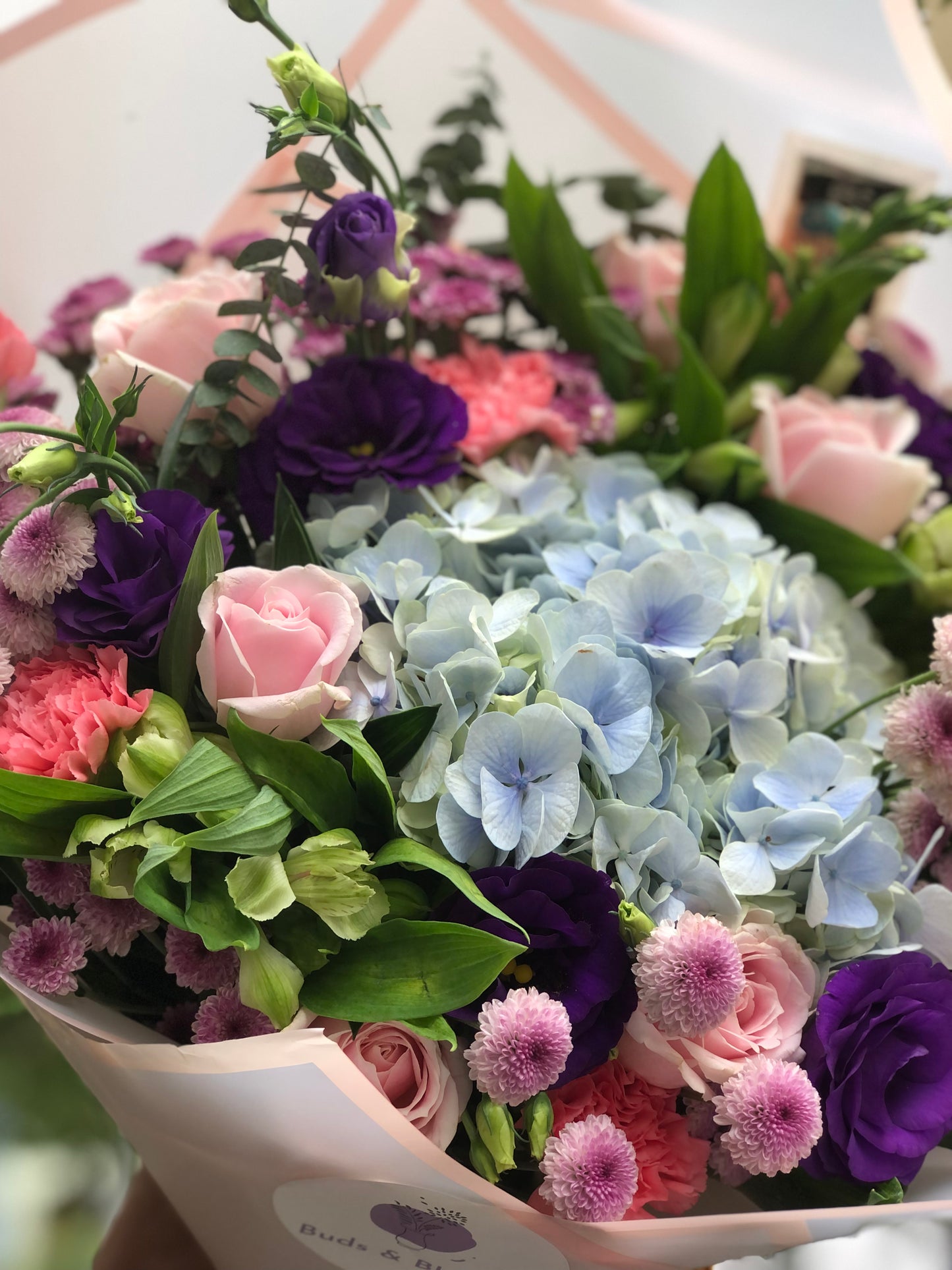 Spring Beauty