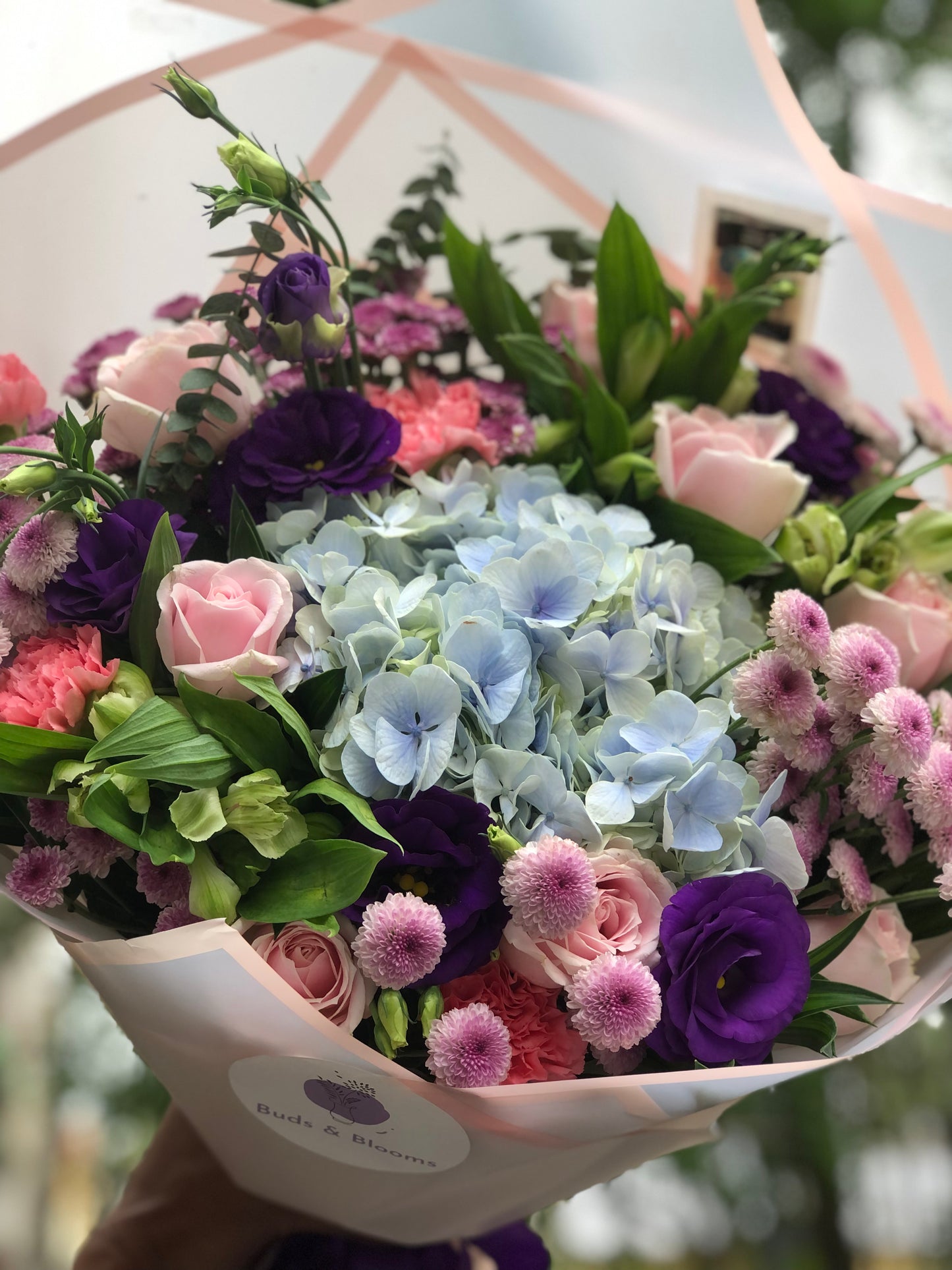 Spring Beauty