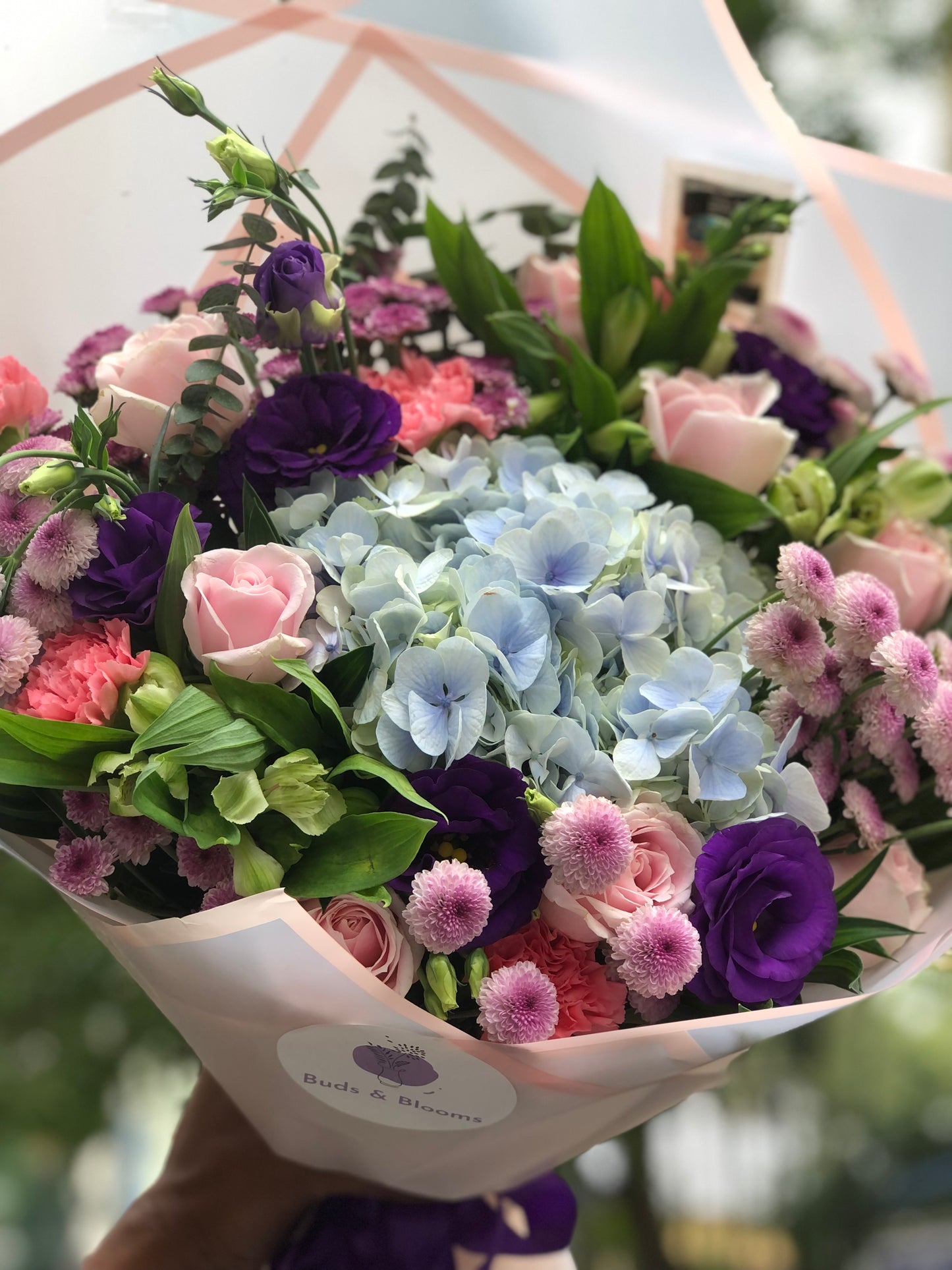 Spring Beauty