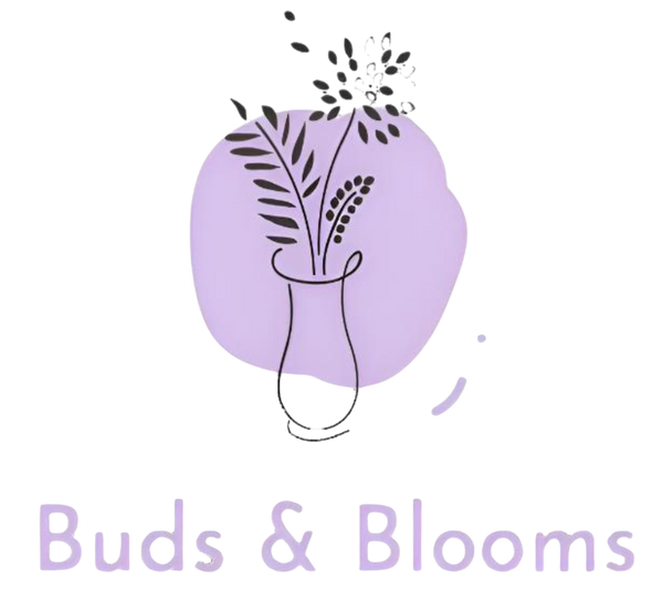 B&B
