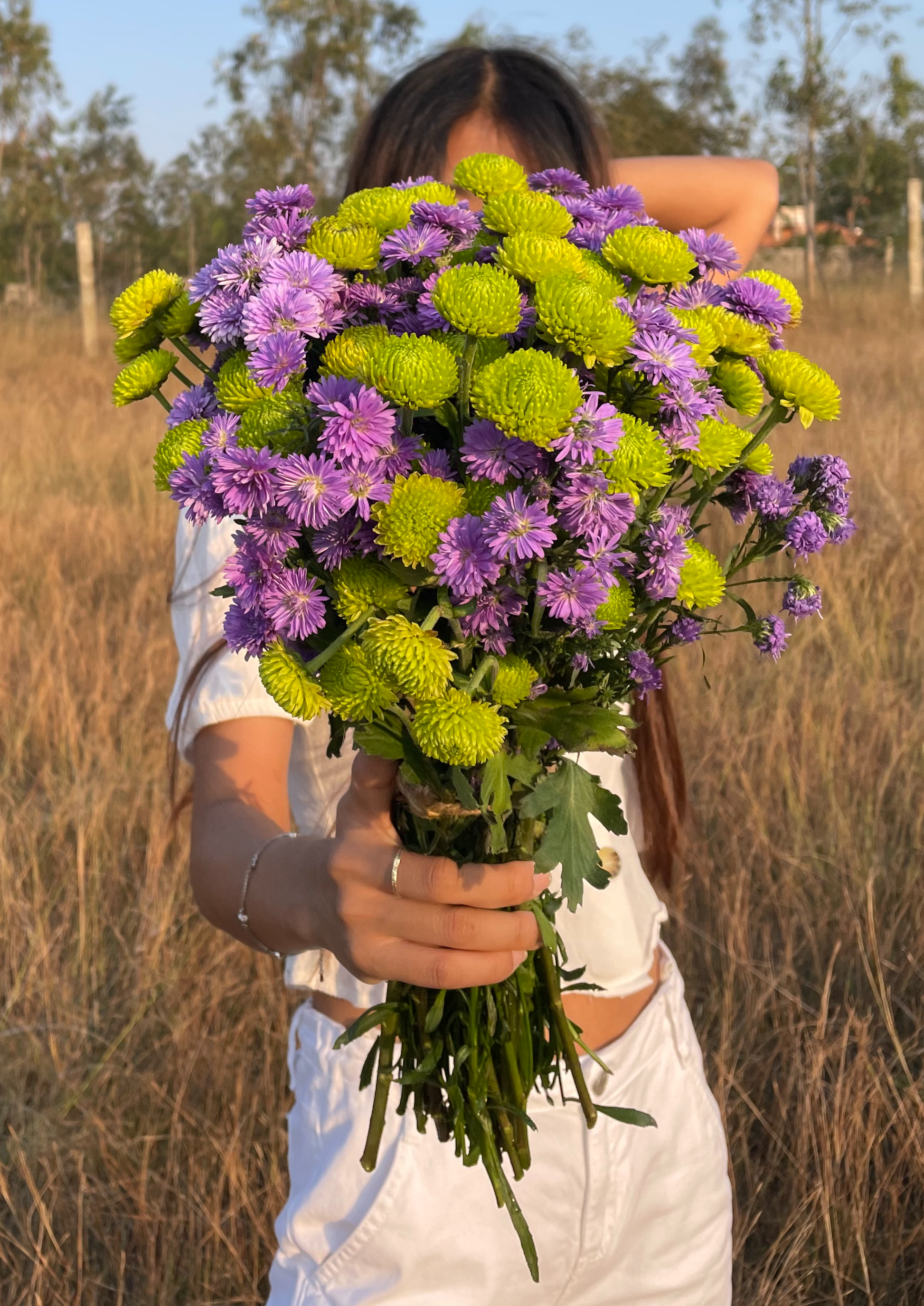 Blue Daisy, Green Button Chrysanthemums