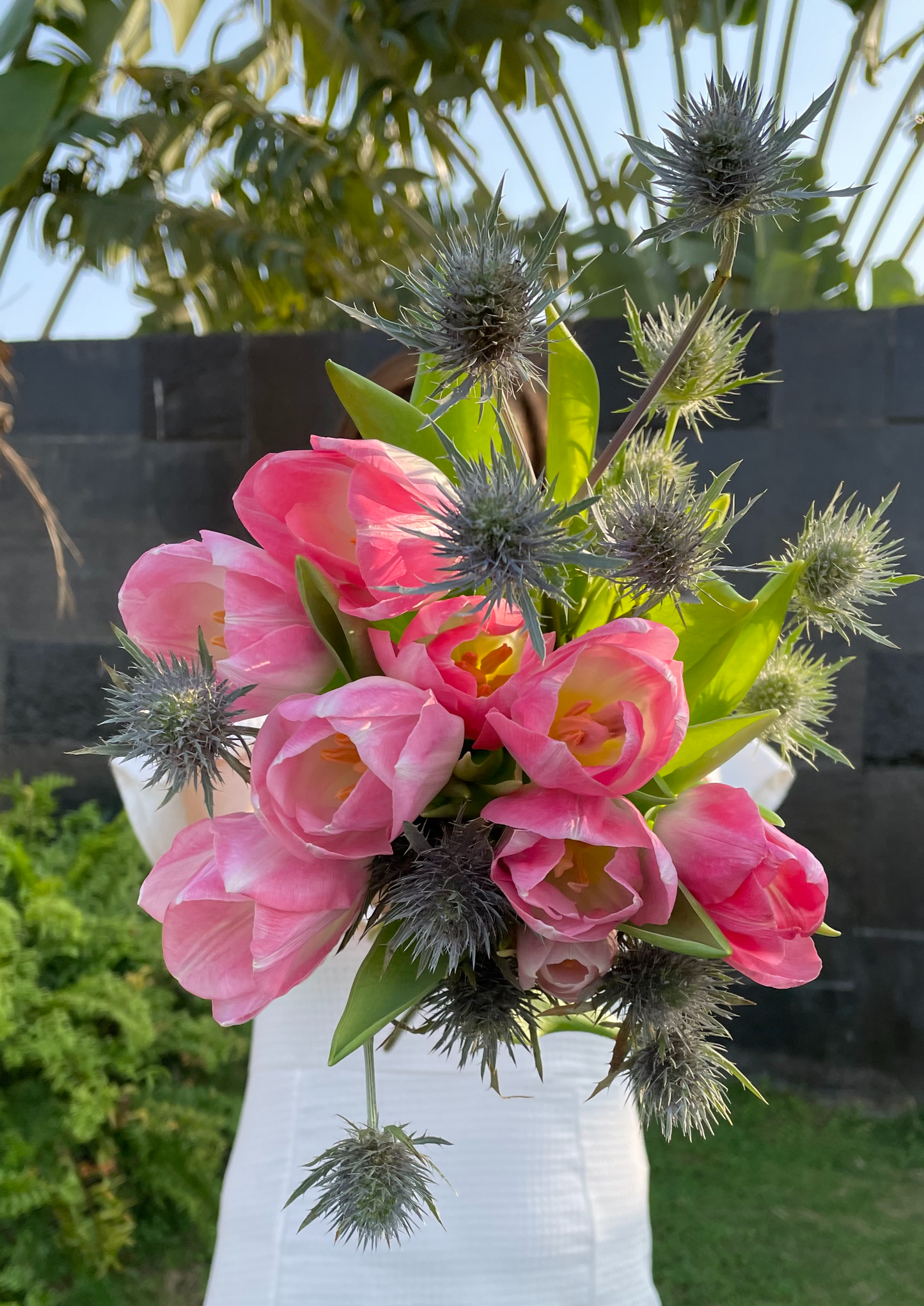 Pink Tulips, Eryngos