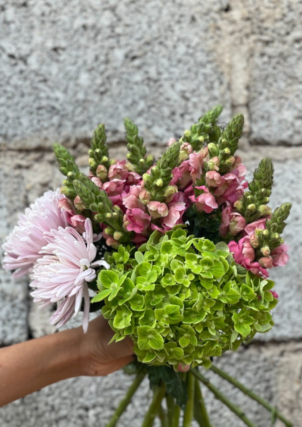 Green Hydrangea, Pink Snapdragon, Pink Disbuds