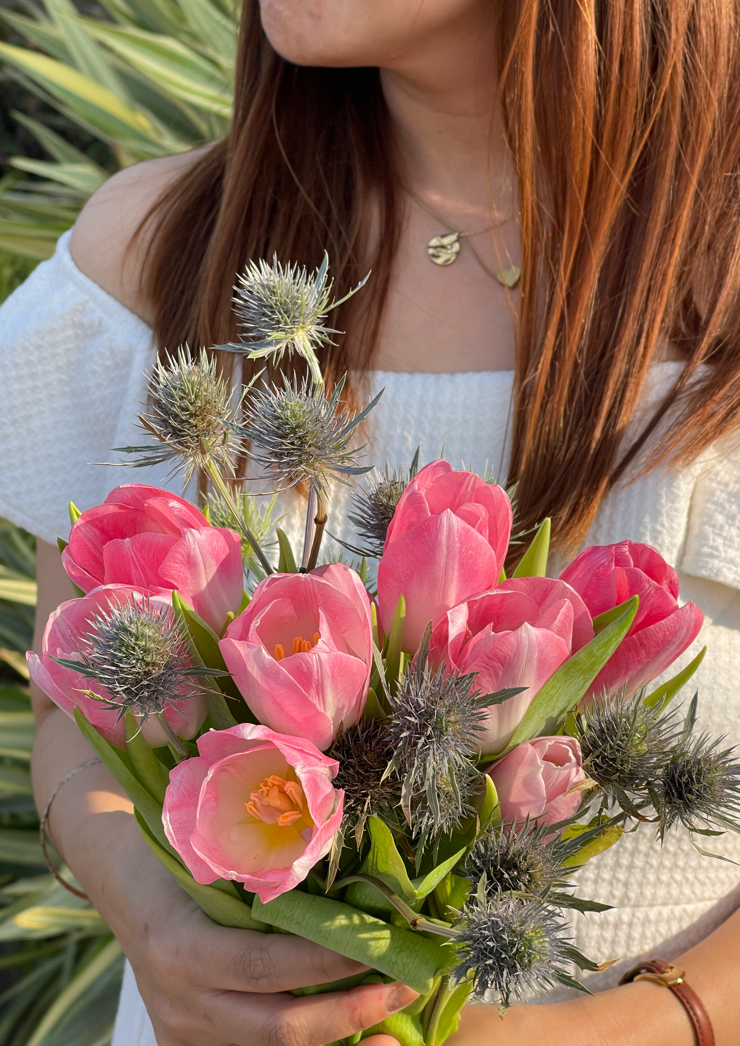 Pink Tulips, Eryngos