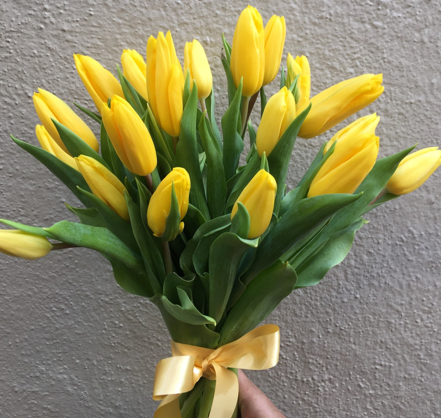 The-Yellow Charm