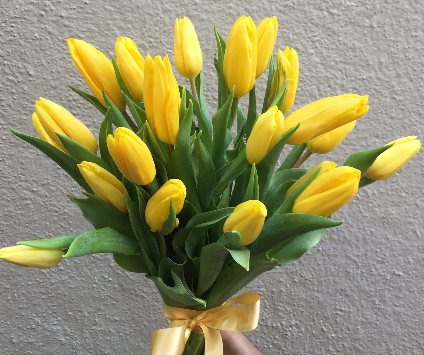 The-Yellow Charm