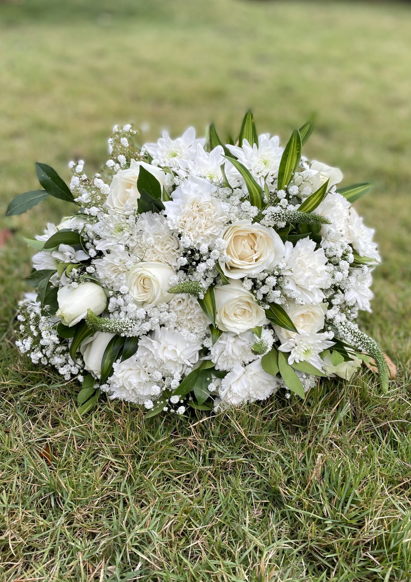 White Rose, White Carnation, Veronica, Song of Jamaica, Gypsophila, Kamini