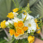 Yellow Rose, White Gerbera