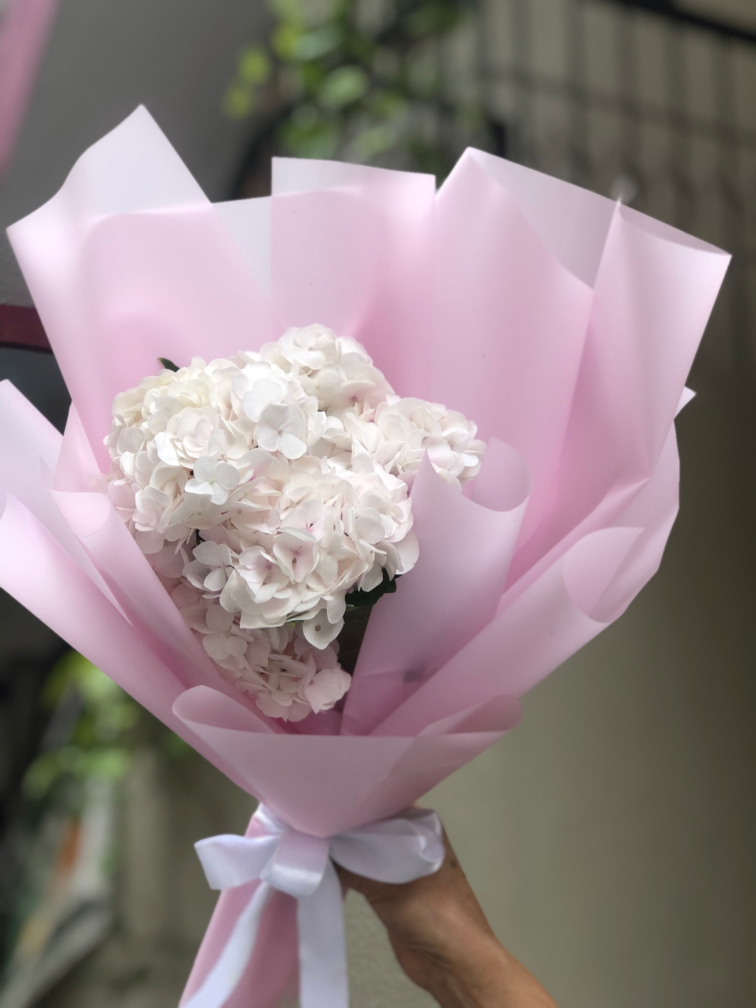 to Buds & Blooms Buds and Blooms