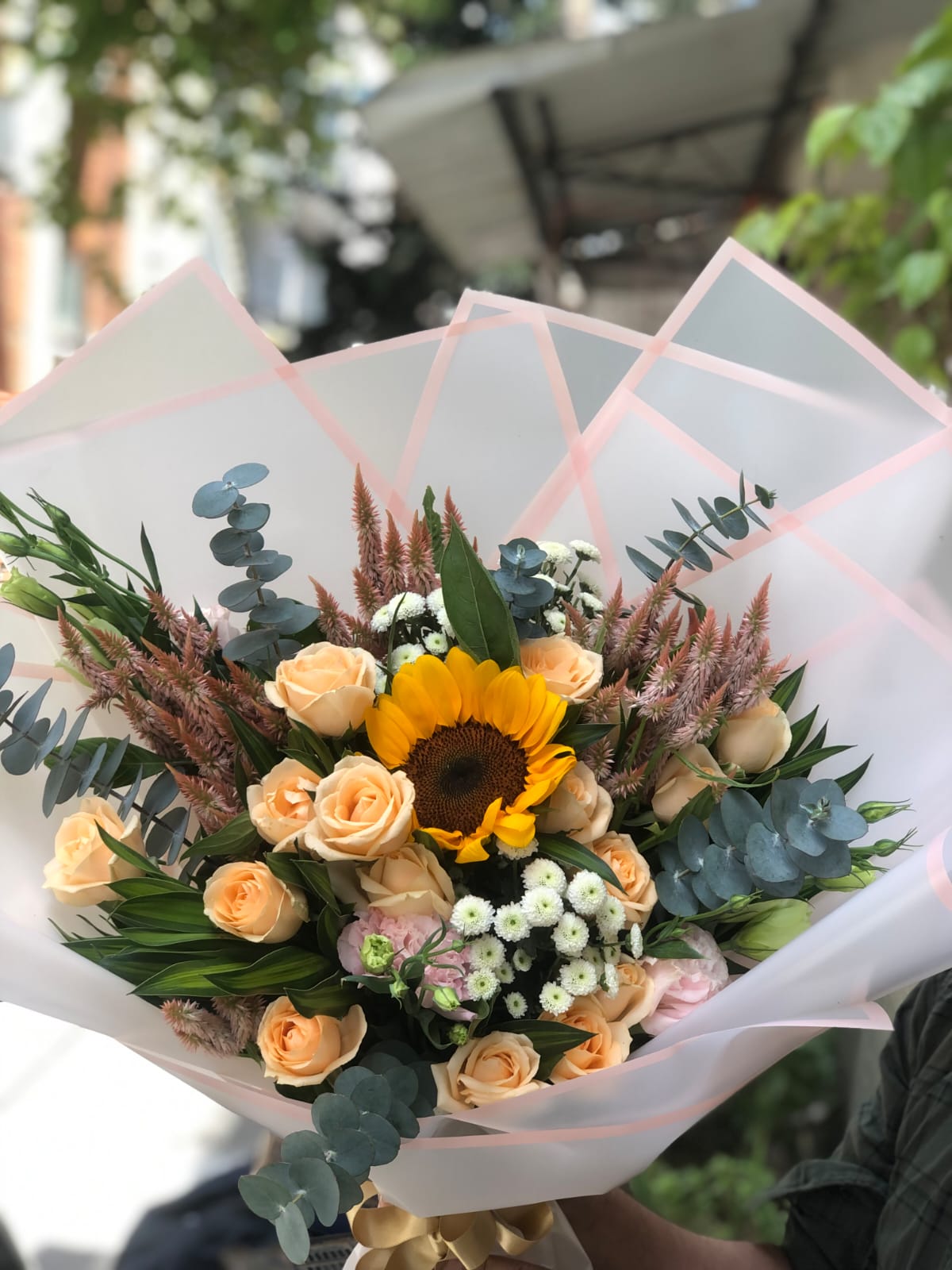 Sun-Kissed Petals
