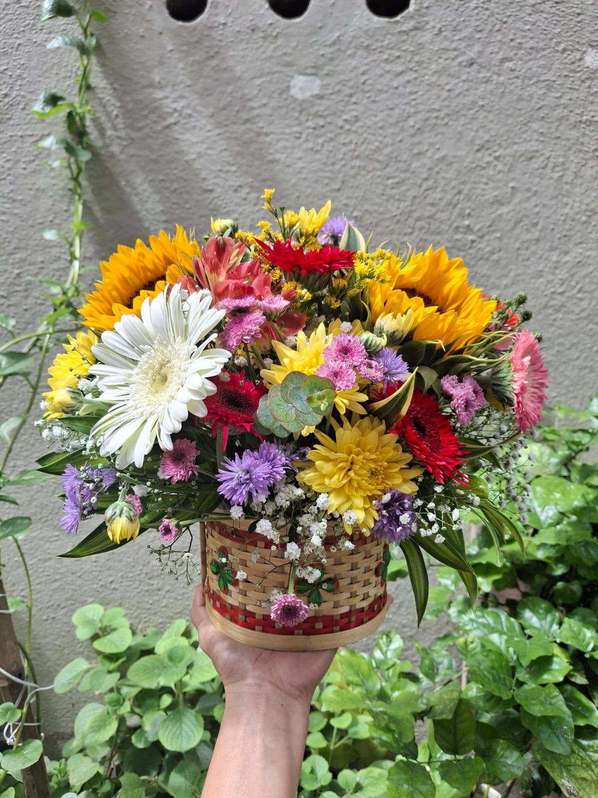 Sunlit Harmony Basket - Rs 1999