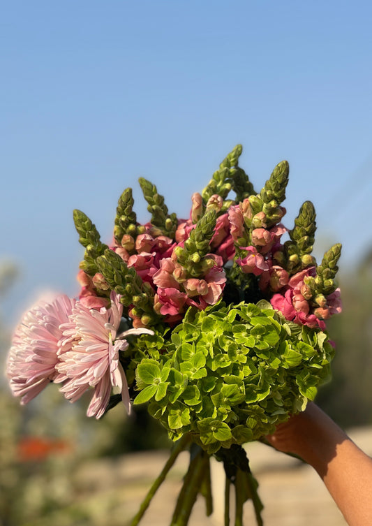 Green Hydrangea, Pink Snapdragon, Pink Disbuds