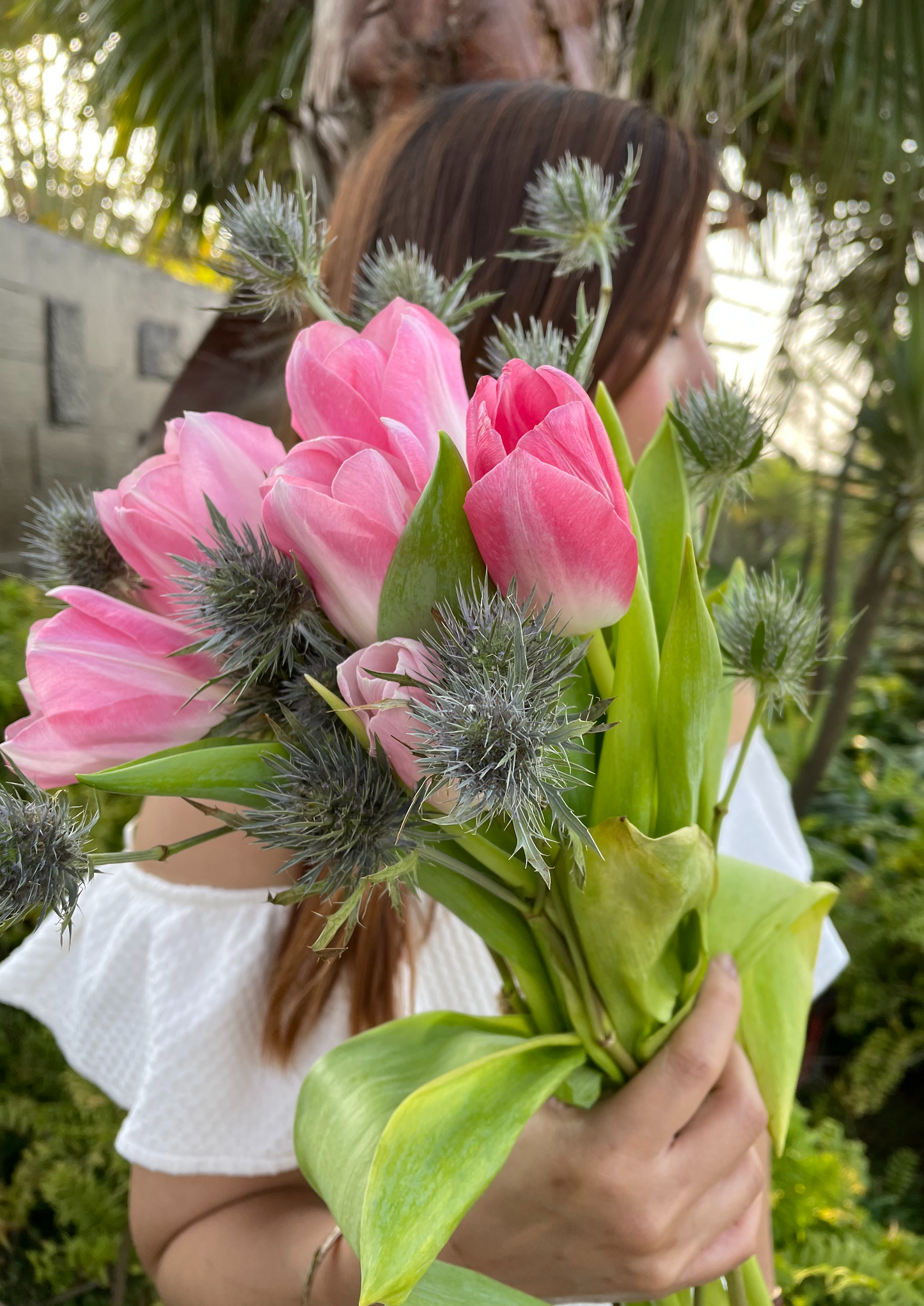 Pink Tulips, Eryngos