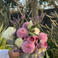 Pink Pingpongs, White Rose, Pink Button Mums, Eucalyptus, Limonium